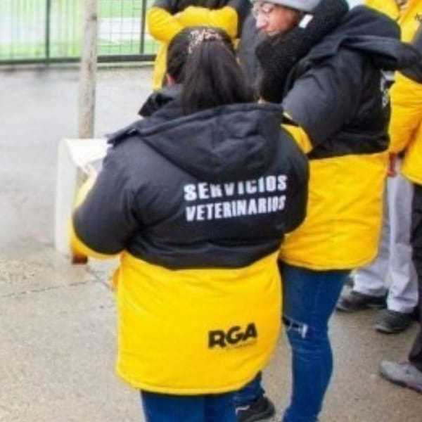 Río Grande interviene en criadero de perros hacinados