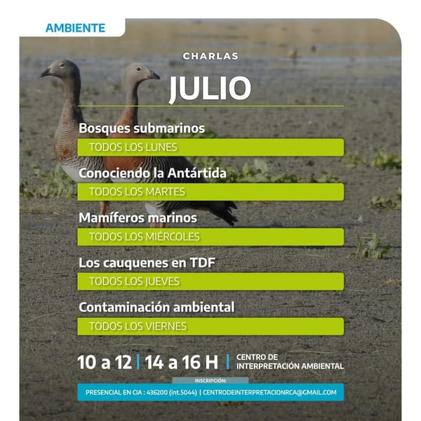 Invierno en Río Grande: Actividades ambientales para todos