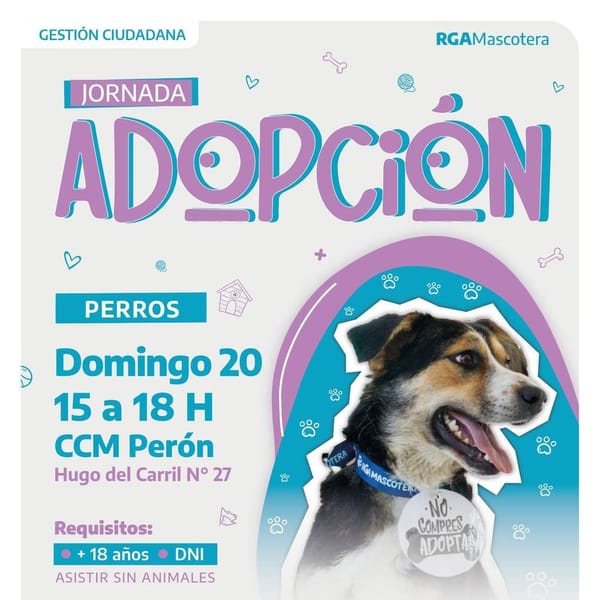 Río Grande lanza jornada de adopción animal en barrio Perón