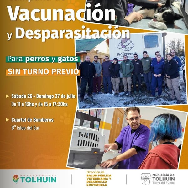 Tolhuin lanza campaña gratuita de vacunación y desparasitación animal