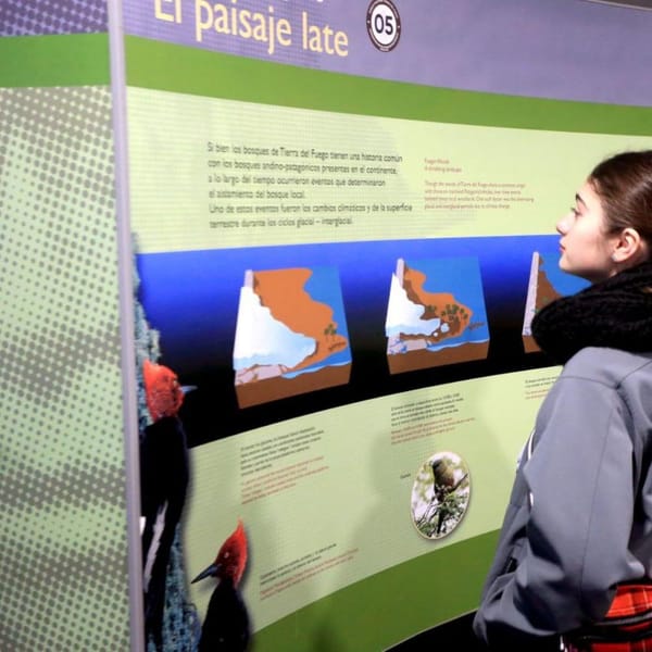 Jóvenes de Ushuaia disfrutaron del Parque Nacional en las Colonias de Invierno