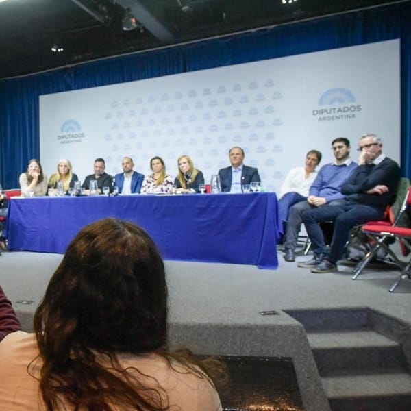 Crisis en Salud Mental: Provincias exigen alerta sanitaria
