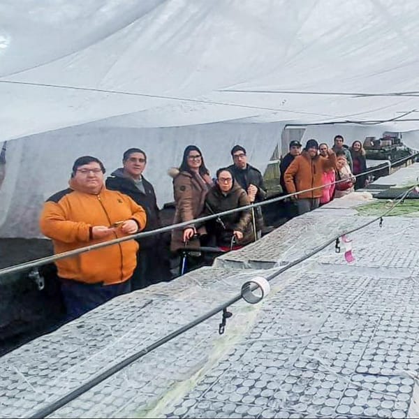 CAAD en el Invernadero Municipal de Río Grande
