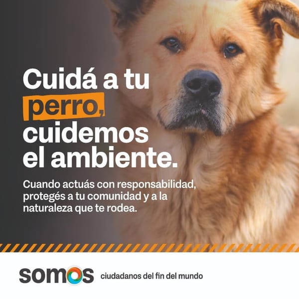 Campaña ambiental para el control responsable de perros