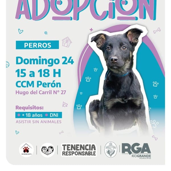 Adopción de Mascotas en Río Grande este Domingo