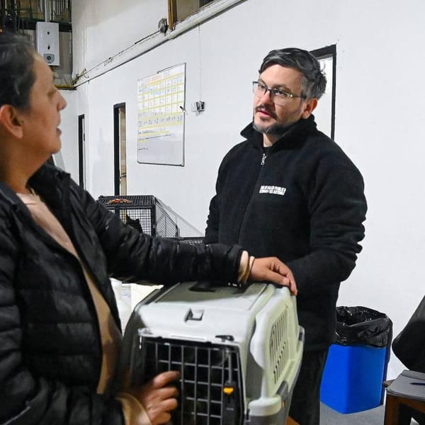 Tolhuin lanza jornada de bienestar animal y tenencia responsable