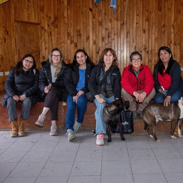 Zoonosis en Ushuaia impulsa educación sobre tenencia responsable