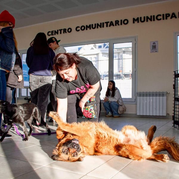 Río Grande impulsa adopciones responsables en el B° Perón