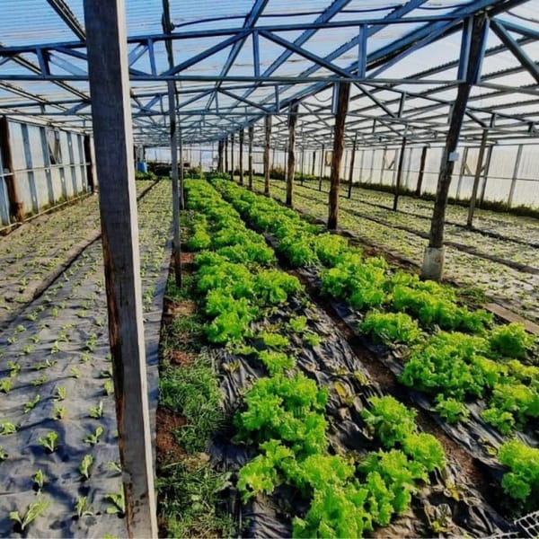 Impulsan la producción local con nuevo protocolo de calidad en Tierra del Fuego