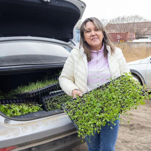 Río Grande lanza gran plan de plantines para 2025-2026