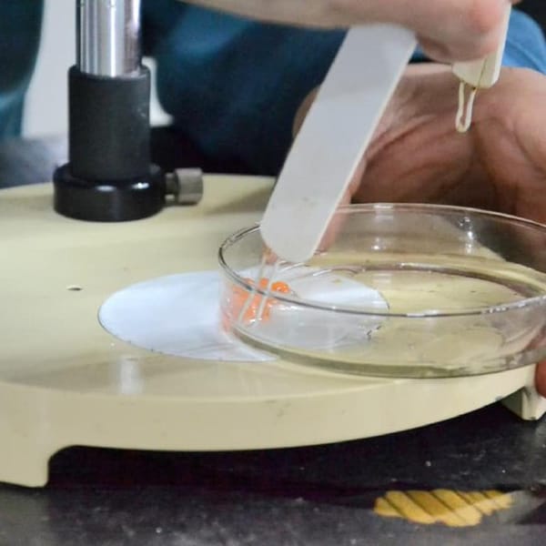 Fuego impulsa la acuicultura con inversión y ciencia