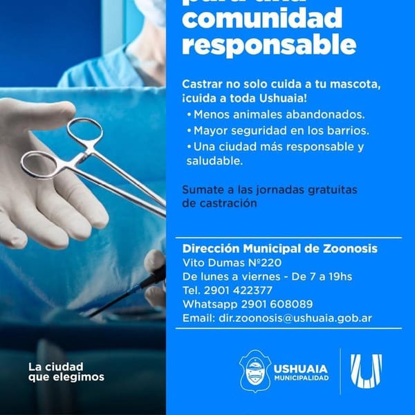 Jornada gratuita de castración en Ushuaia