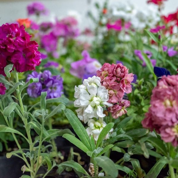 Ushuaia lanza su Expo Ambiental 2025 contra el cambio climático