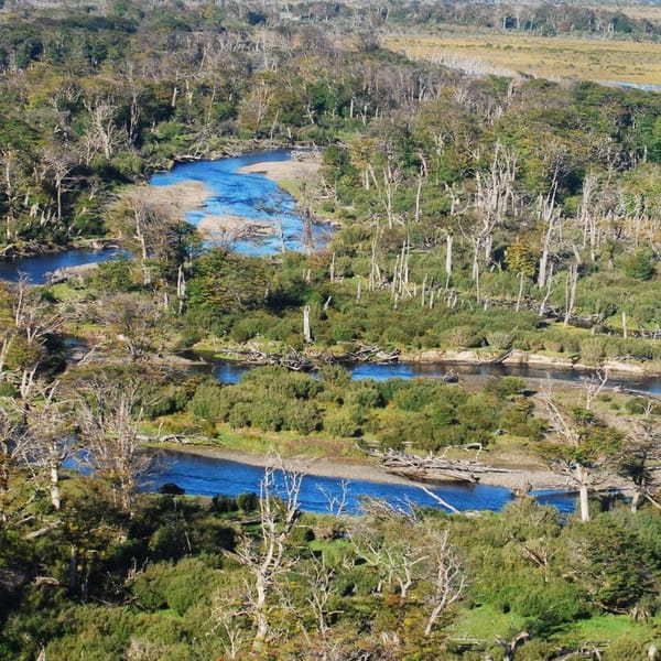 Descubrí la temporada de visitas a Península Mitre