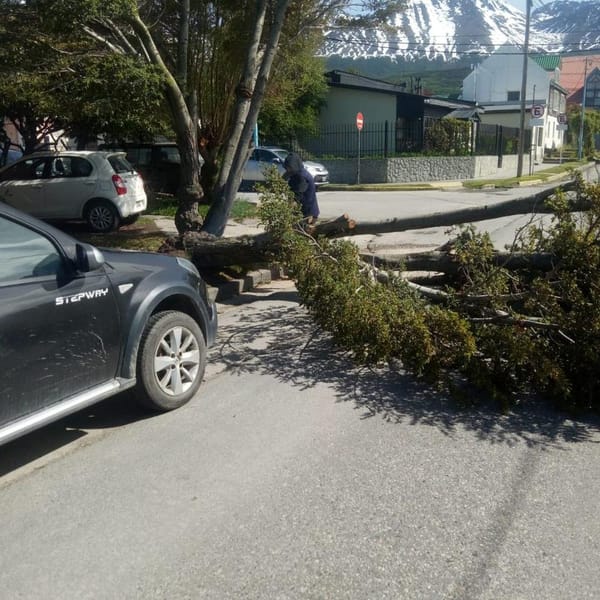 Ushuaia responde a emergencias por fuerte temporal de vientos