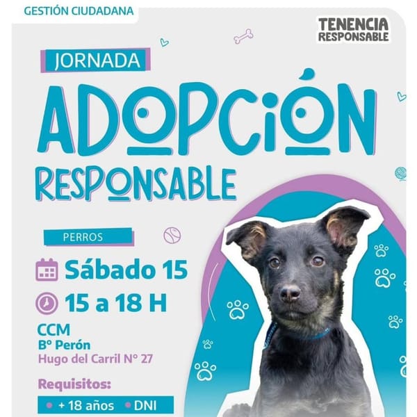 Adopción Responsable en Río Grande: Jornada en el CCM Barrio Perón