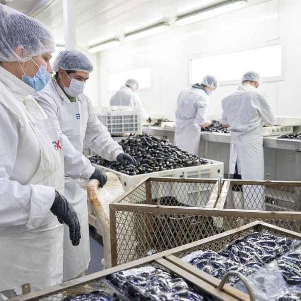 Industria alimentaria en Tierra del Fuego impulsa diversificación