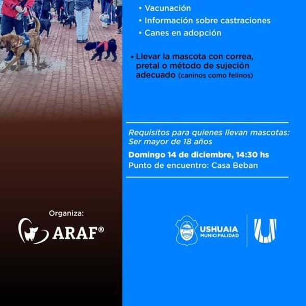 Ushuaia cierra el año con caminata y adopción de mascotas